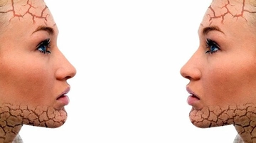 Hücre Yenilenmesi Nedir ve Nasıl Gerçekleşir?