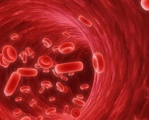 Kan Hücreleri Nelerdir? Türleri ve Faydaları Nelerdir?