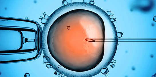 Fetal Kök Hücre