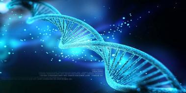 Dna zolasyonu Nedir